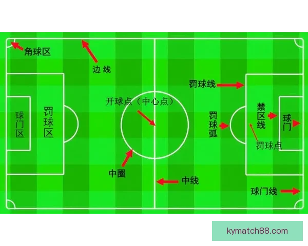 世界杯赛事预测分析全面指南助你精准把握比赛走向