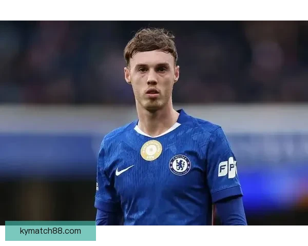 B费推荐接班人降级也卖6000万比帕尔默便宜分析