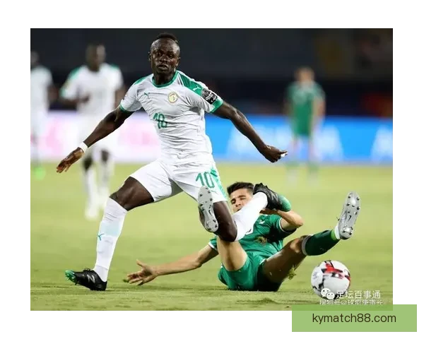 世界杯竞猜APP入口全新上线，带你畅享足球激情与精彩赛事预测